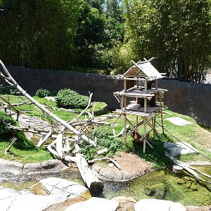 San Diego Zoo - Ituri Forest