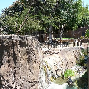 San Diego Zoo - Ituri Forest
