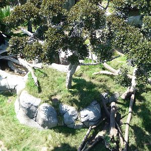 San Diego Zoo - Skyfari Overview