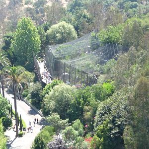 San Diego Zoo - Skyfari Overview