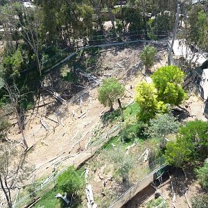 San Diego Zoo - Skyfari Overview