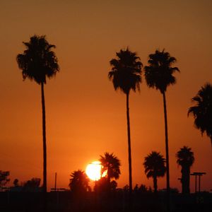 San Diego Zoo - Sunset
