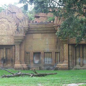 Miami - Tiger Exhibit