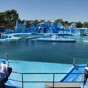 Dolphin and Orca Stadium