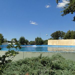 Biggest holding pool