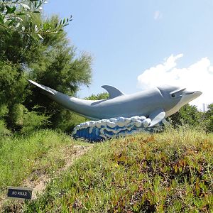 Dolphin Statue