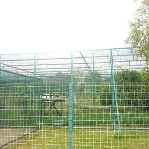 North Chinese Leopard Enclosure (3rd July 2011)