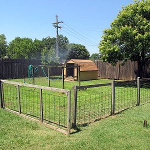 African Spurred Tortoise Exhibit