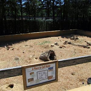 Black-tailed Prairie Dog Exhibit