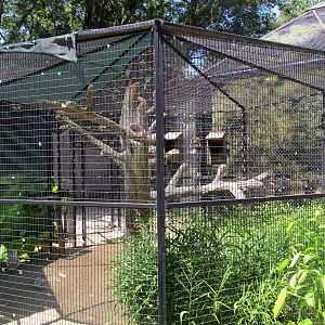 Barn Owl Exhibit