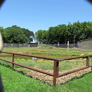 Texas Longhorn Exhibit