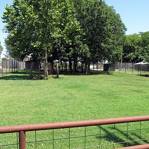 Greater Rhea Exhibit