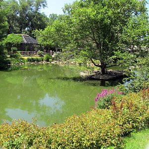 North American Waterfowl Exhibit