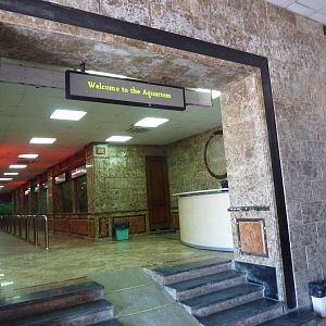 Aquarium entrance
