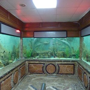 Large freshwater display