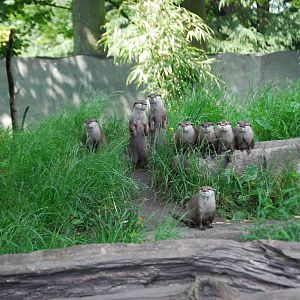 Where is our **** food?