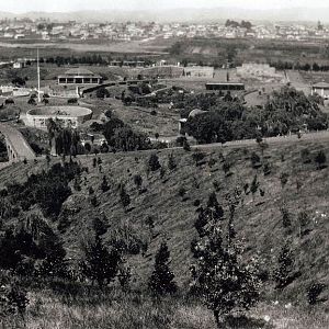 Auckland Zoo View - 1928