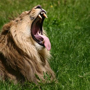 After a hard day doing nothing.