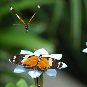 This could be messy!