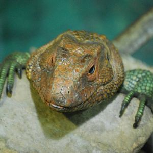 Yes, do you have a problem?