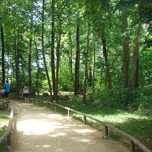 Walk-through barbary macaque exhibit