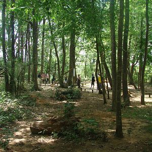 Walk-through barbary macaque exhibit