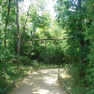 Walk-through golden-bellied capuchin exhibit