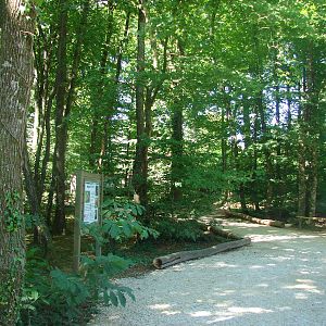 Lemurs walk-through exhibit