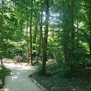 Lemurs walk-through exhibit