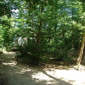Lemurs walk-through exhibit