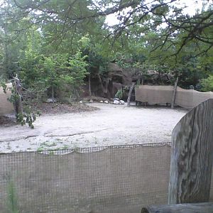 Rhino Reserve- Okapi and Yellow-backed Duiker exhibit