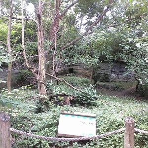 First Red Panda exhibit