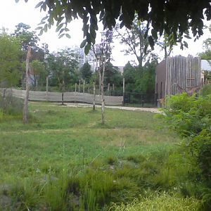 Part of Giraffe Ridge