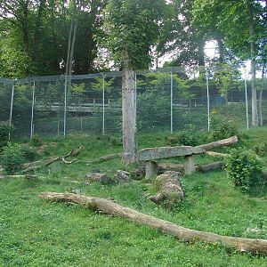 Snow leopard exhibit