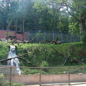 Sun bear and dhole exhibit