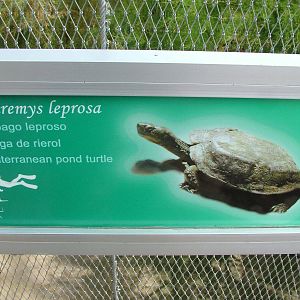 Signage Example at Oceanografic, 29/05/11