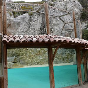 European brown bear exhibit