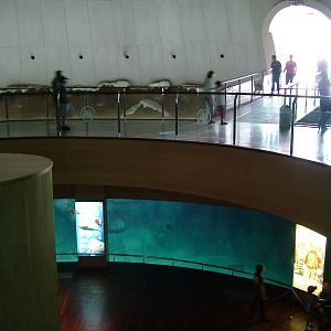 Arctic Building at Oceanografic, 29/05/11