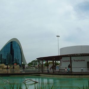 General View at Oceanografic, 29/05/11