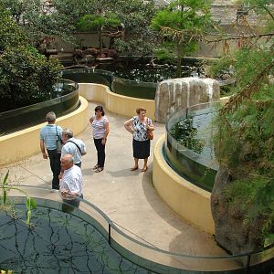 Wetlands Aviary Interior at Oceanografic, 29/05/11