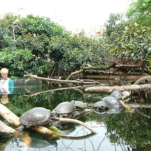 Wetlands Aviary Interior at Oceanografic, 29/05/11
