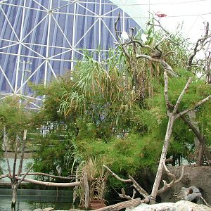 Wetlands Aviary Interior at Oceanografic, 29/05/11