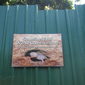 Something weird will be unearthed soon