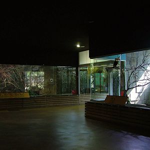 Bird House Interior at Barcelona, 30/05/11