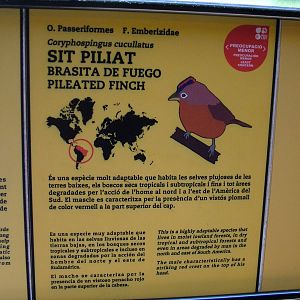 Signage Example at Barcelona, 30/05/11