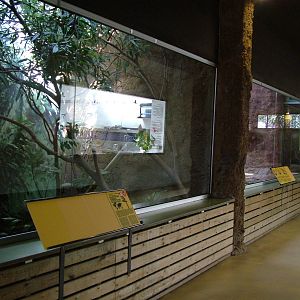 Bird House Interior at Barcelona, 30/05/11