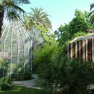 Parrot Aviaries at Barcelona, 30/05/11