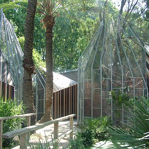 Parrot Aviaries at Barcelona, 30/05/11