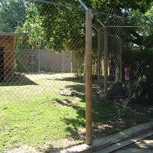 Kangaroo Paddock at Barcelona, 30/05/11