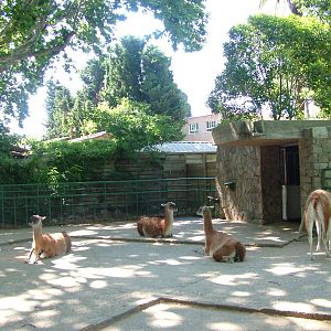 Guanaco Paddock at Barcelona, 30/05/11